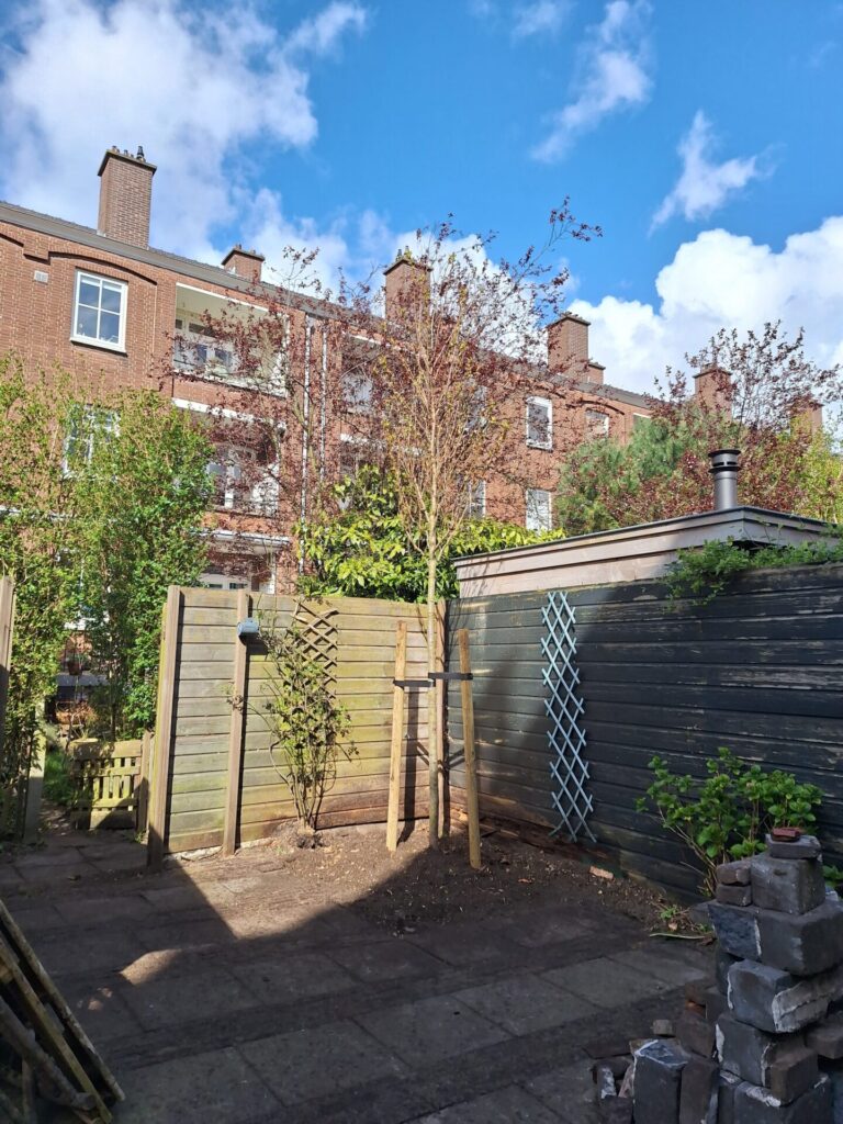 Makkelijk een boom laten planten in een achtertuin