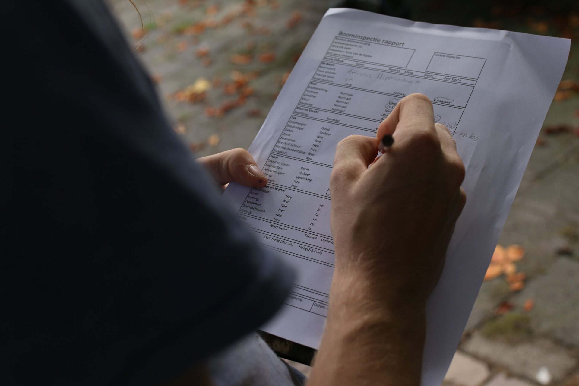 Boominspectie rapport schrijven