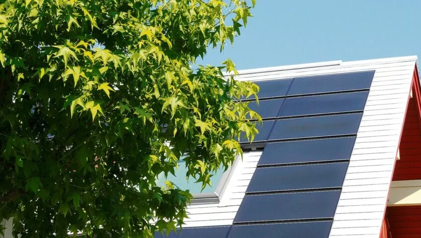 Zonnenpanelen achter een boom