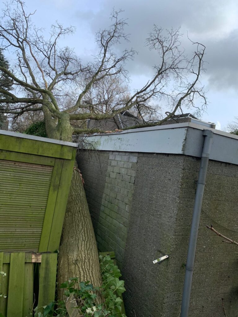 Een omgevallen boom is door de schutting gevallen