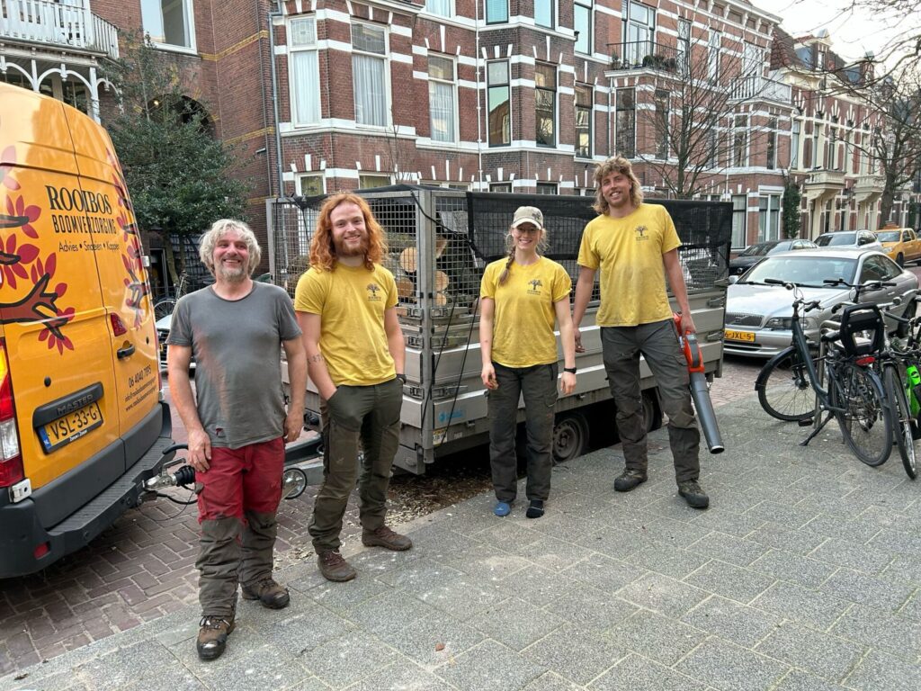Rooibos Boomverzorging Team