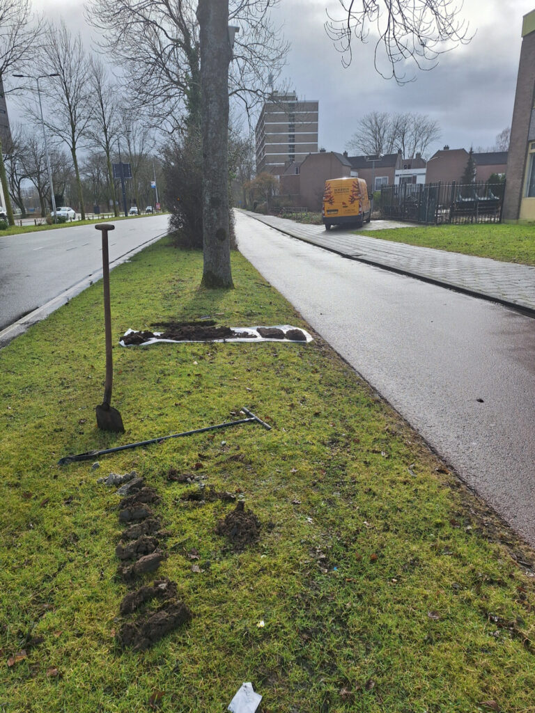 Bomen Effect Analyse in Leiden